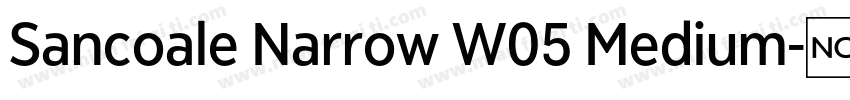 Sancoale Narrow W05 Medium字体转换